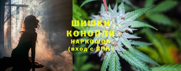 PSILOCYBIN Лиски