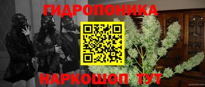 шишки Донской
