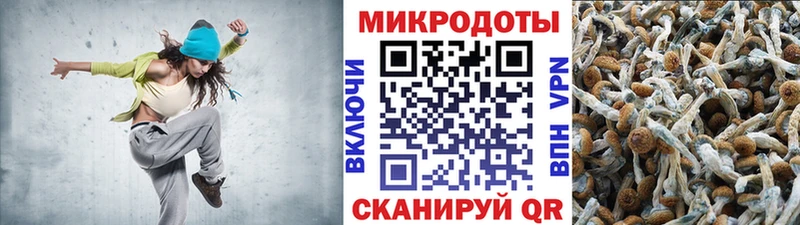 Псилоцибиновые грибы Psilocybine cubensis купить закладку Раменское