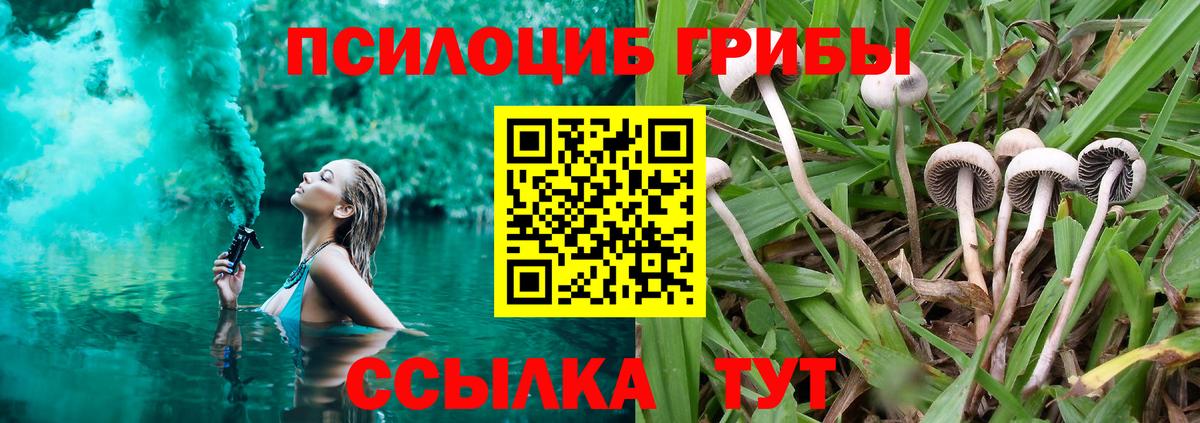 Псилоцибиновые грибы Psilocybe  где найти наркотики  Раменское  Вход с VPN 