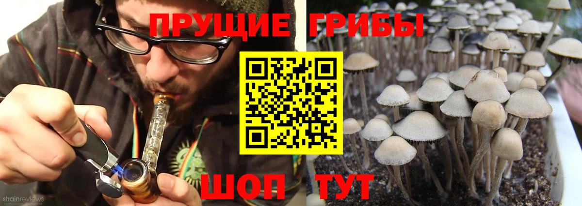 Псилоцибиновые грибы Psilocybine cubensis  где найти наркотики  Раменское 